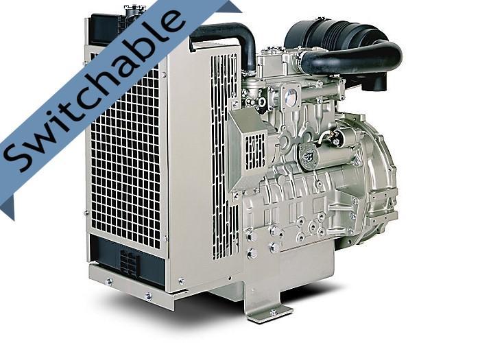 404A-22G1 Diesel Engine <br> 20 kVA @ 1500 RPM